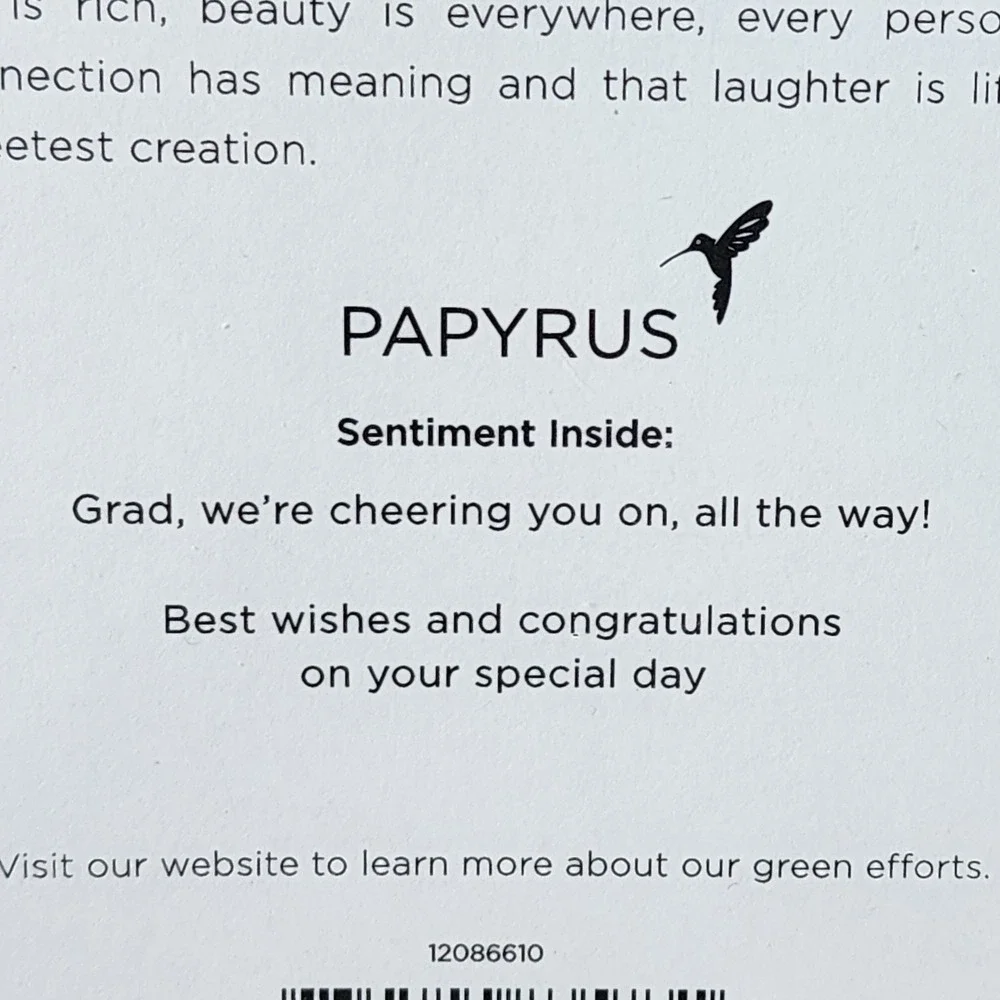 Papyrus Graduation Card 3D Chenille Grad Letters Way To Go Pennant 12086610